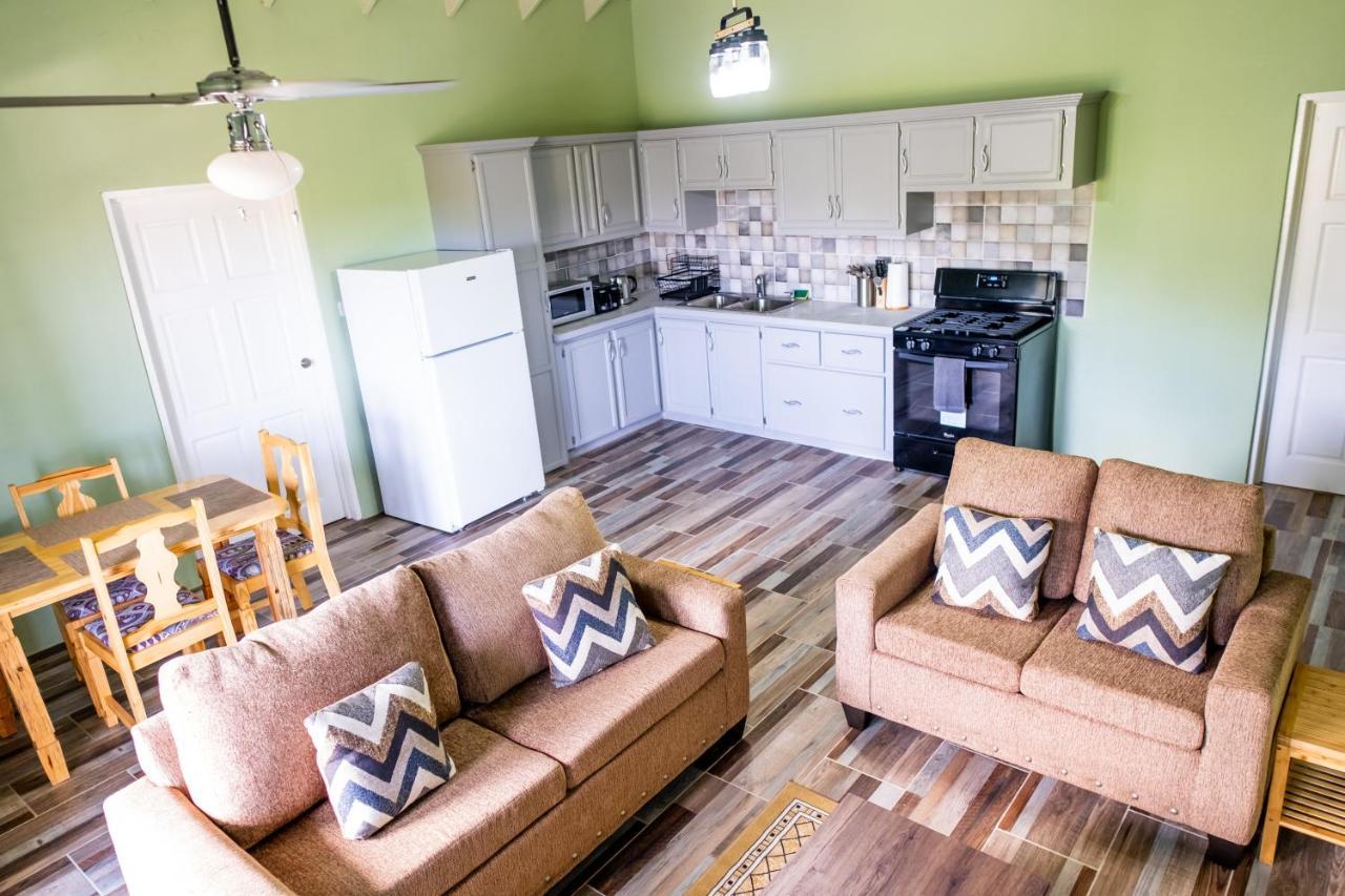 Golden Palms Apartment 킹스타운 외부 사진